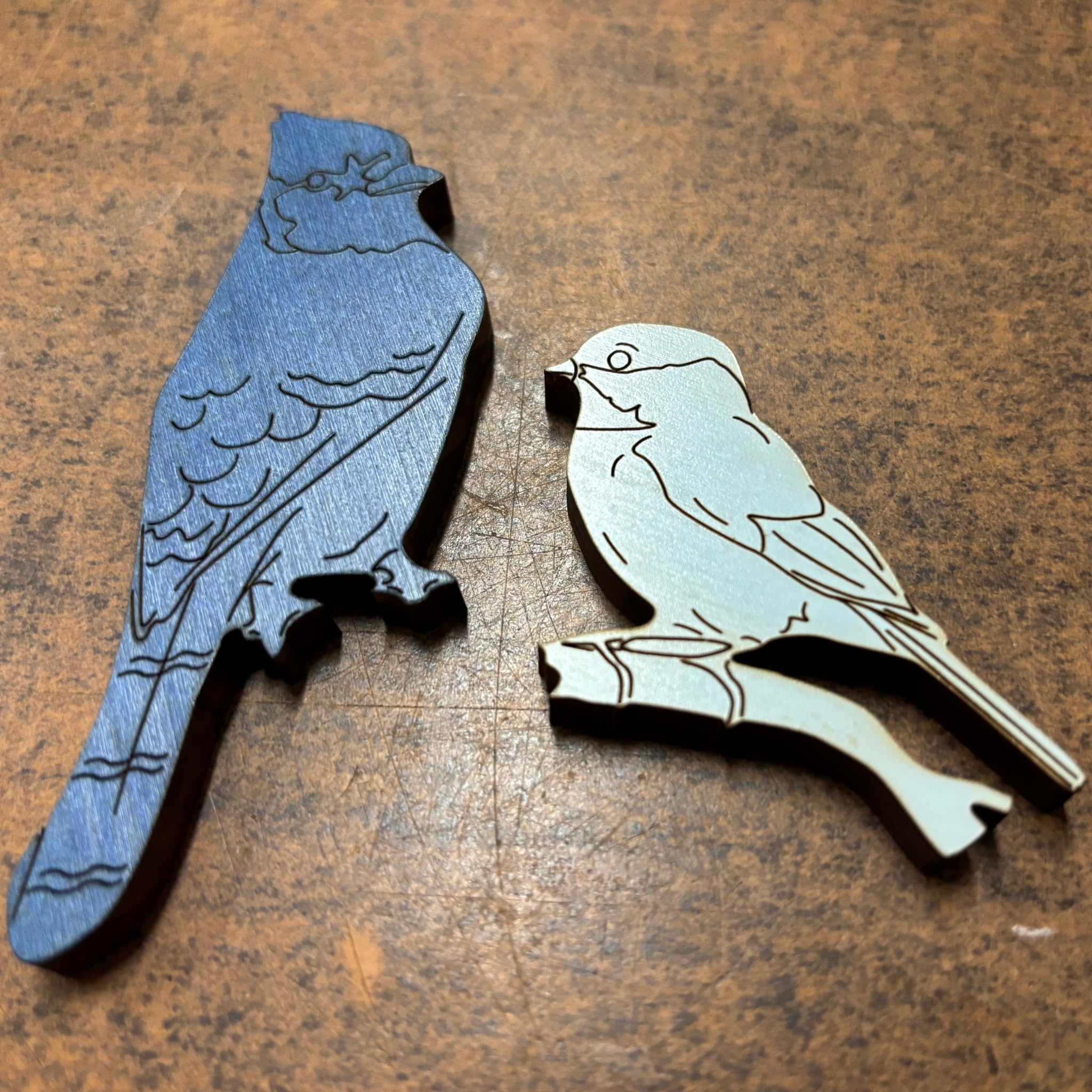 Amazon.com: Bird Lovers Puzzle – Unique Gift for Bird Watchers